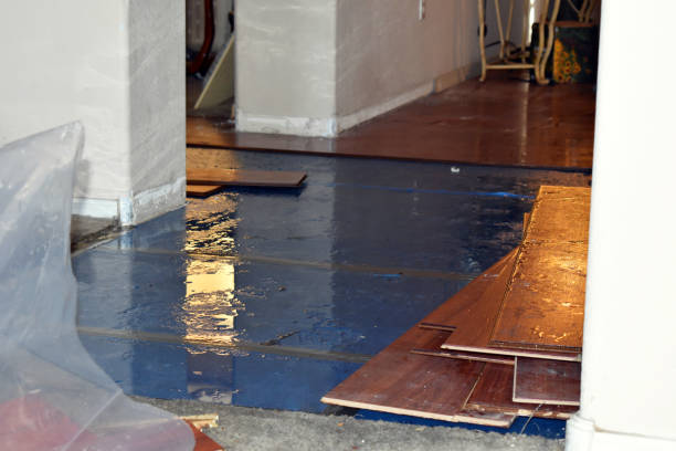 Professional Water Damage Restoration technician working in Colome, SD